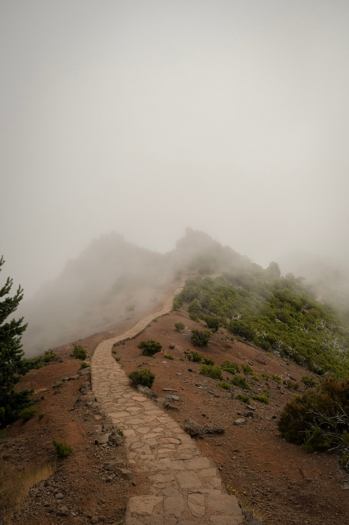 Madeira  · 54