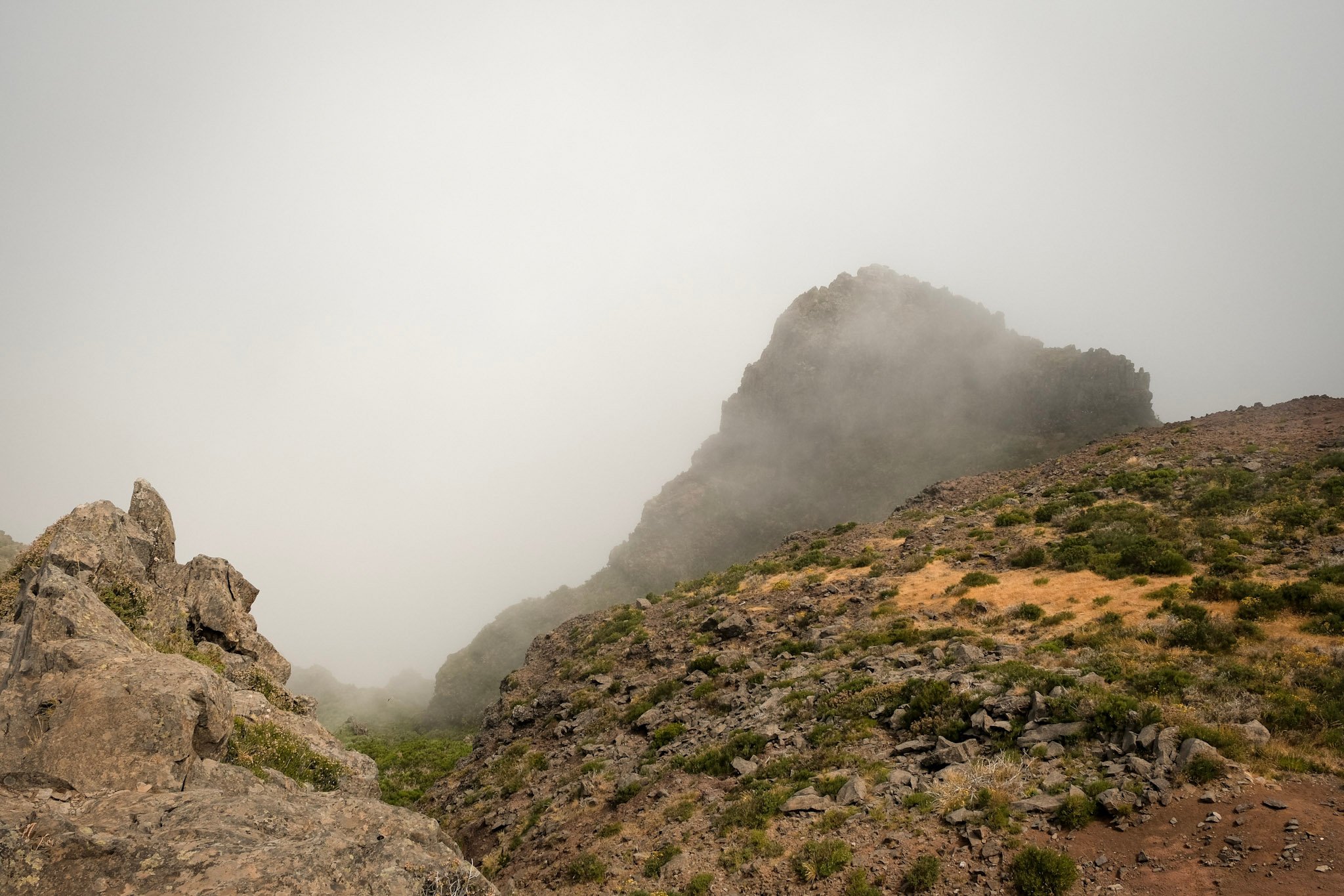 Madeira  · 43
