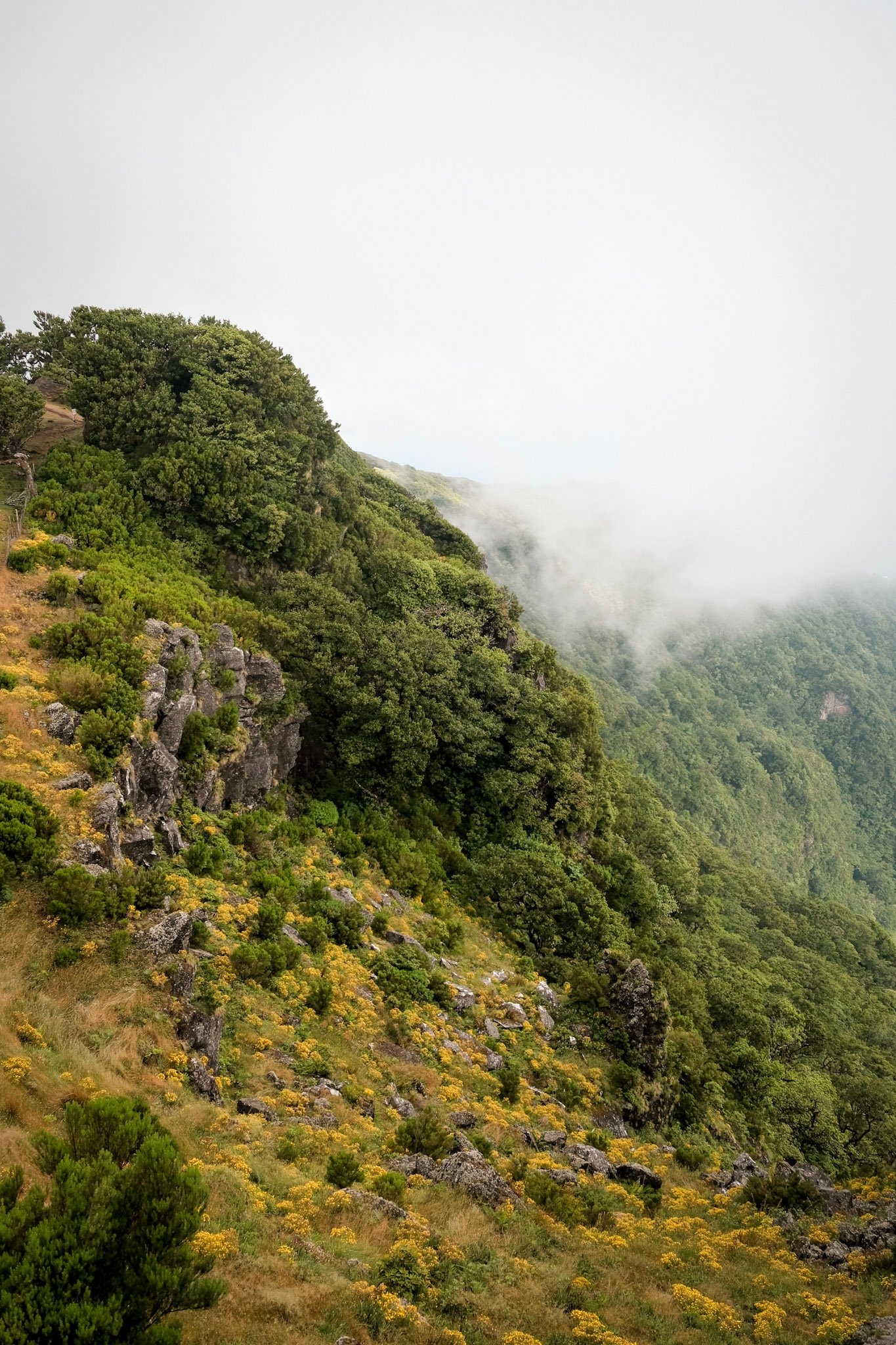 Madeira  · 20