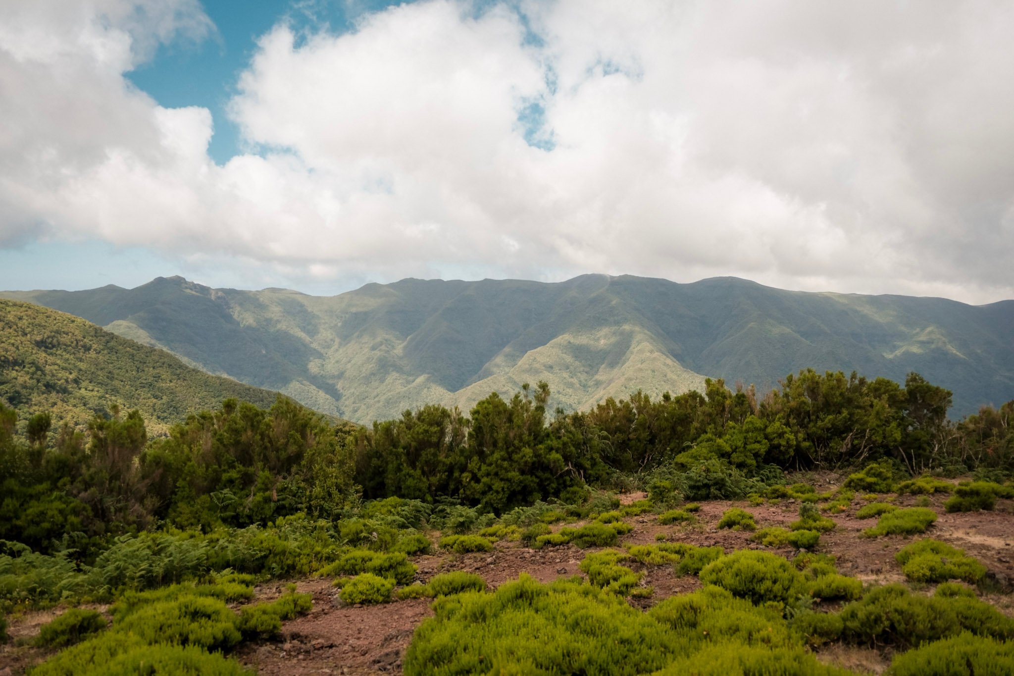Madeira  · 14