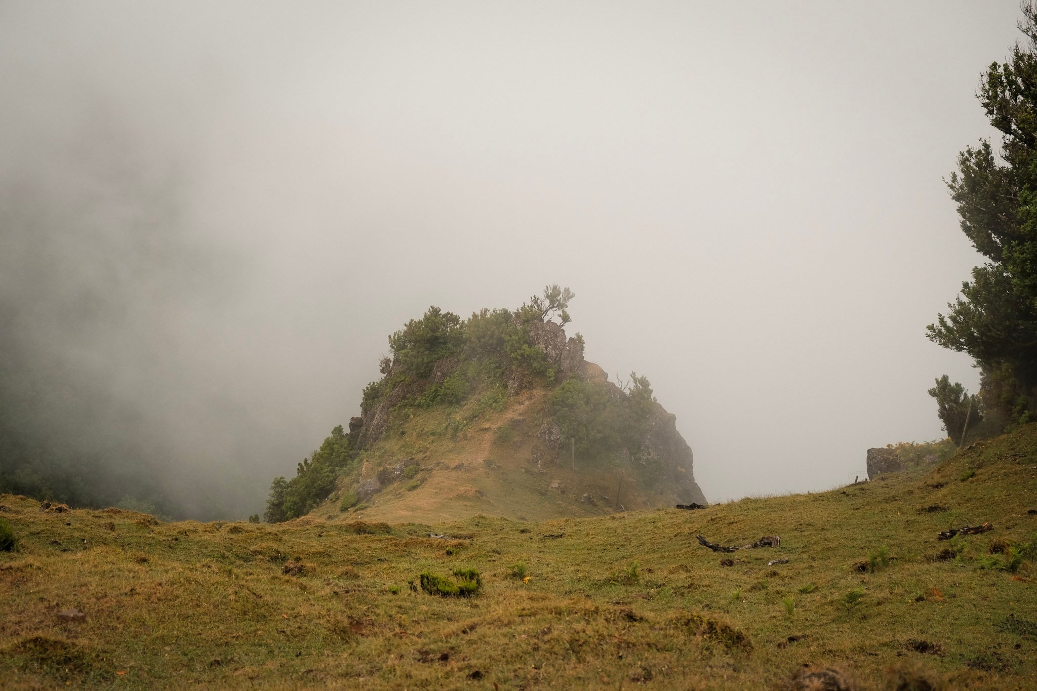 Madeira  · 13