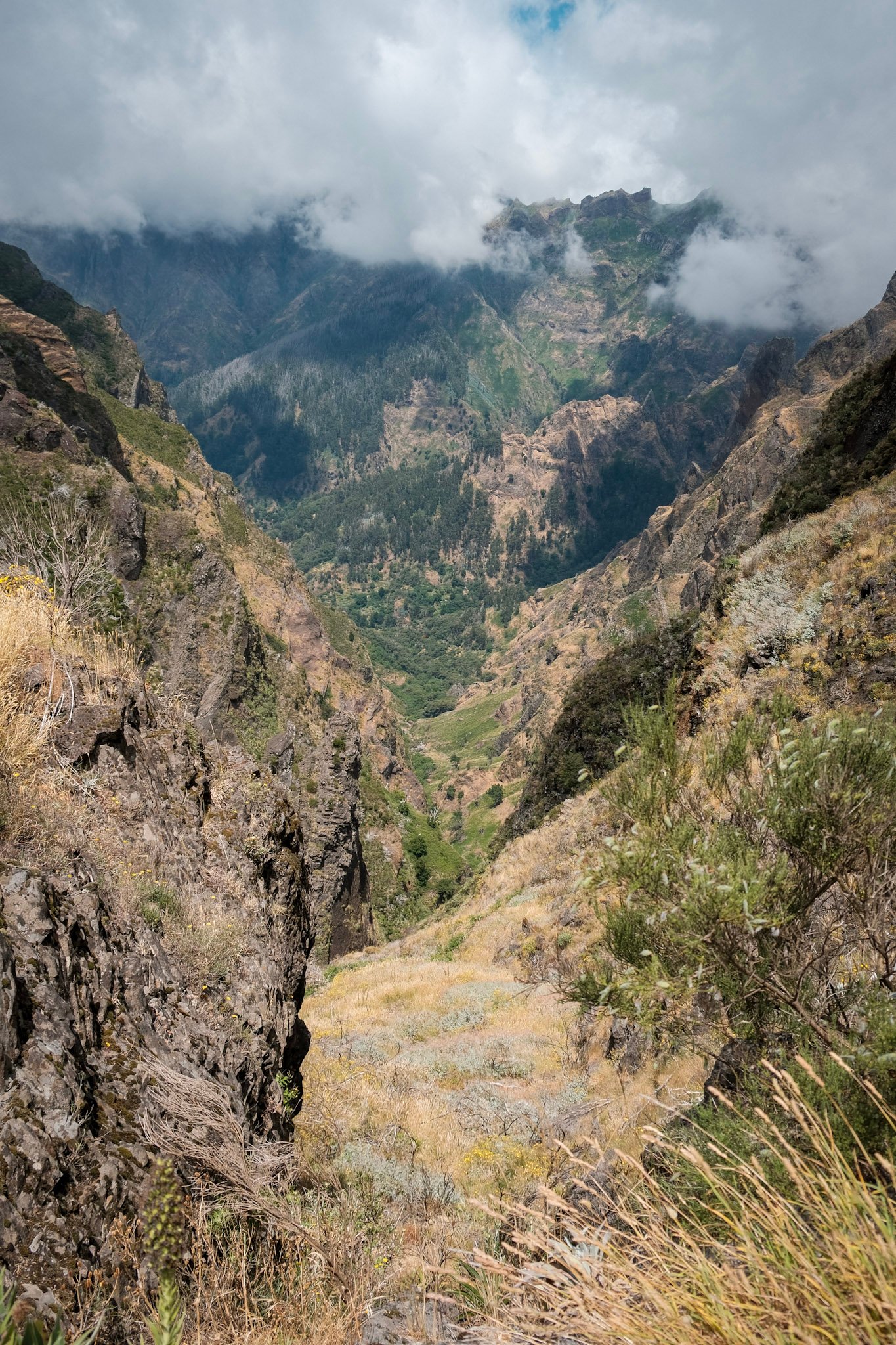 Madeira  · 52