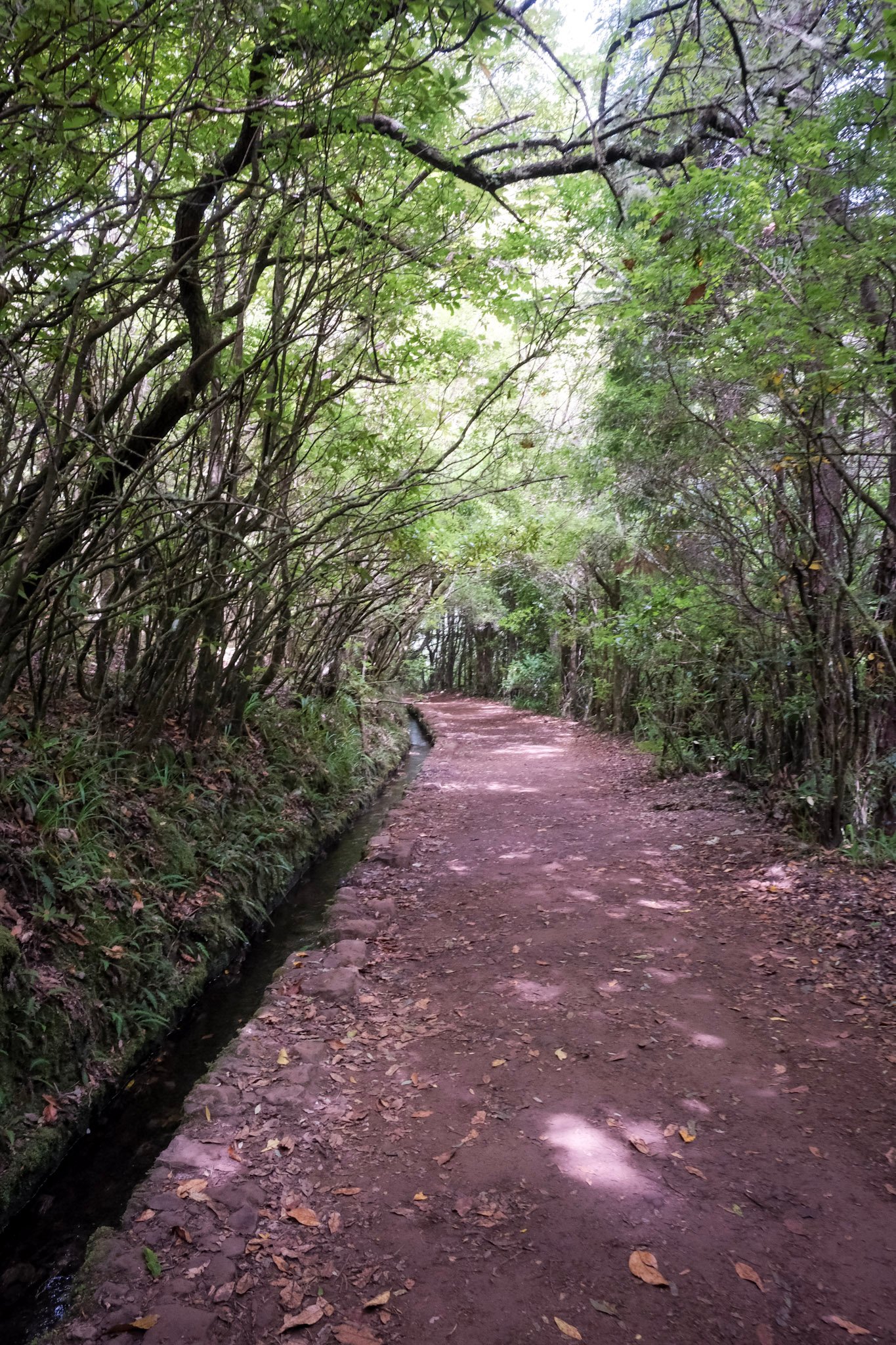 Madeira  · 78