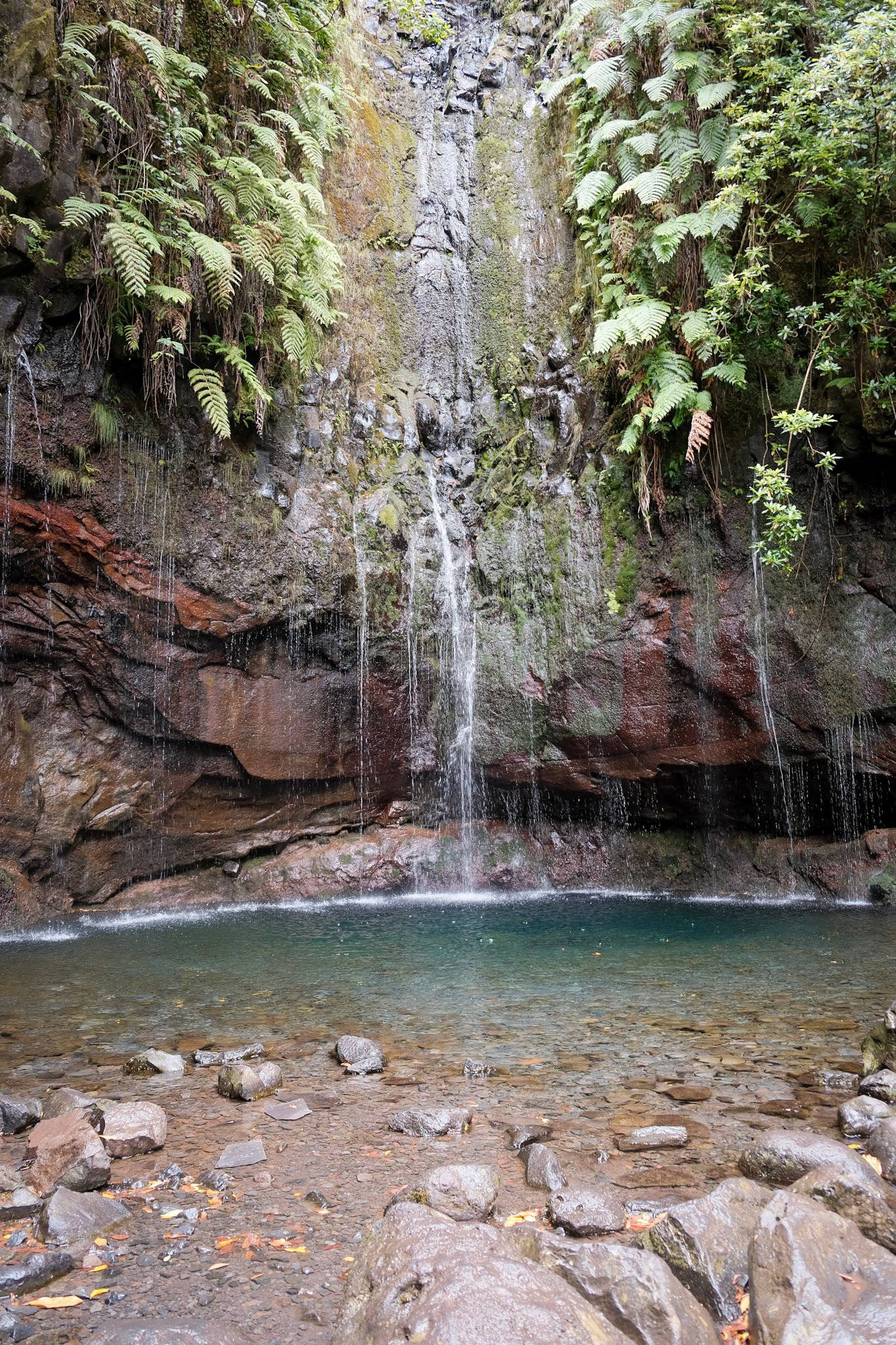 Madeira  · 36