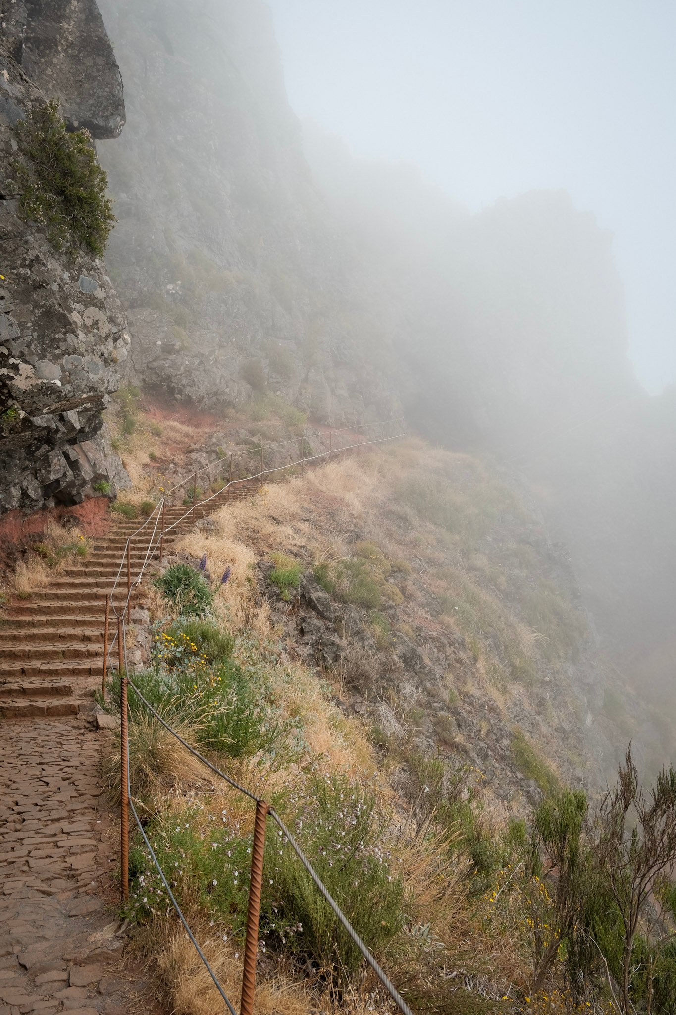 Madeira  · 46