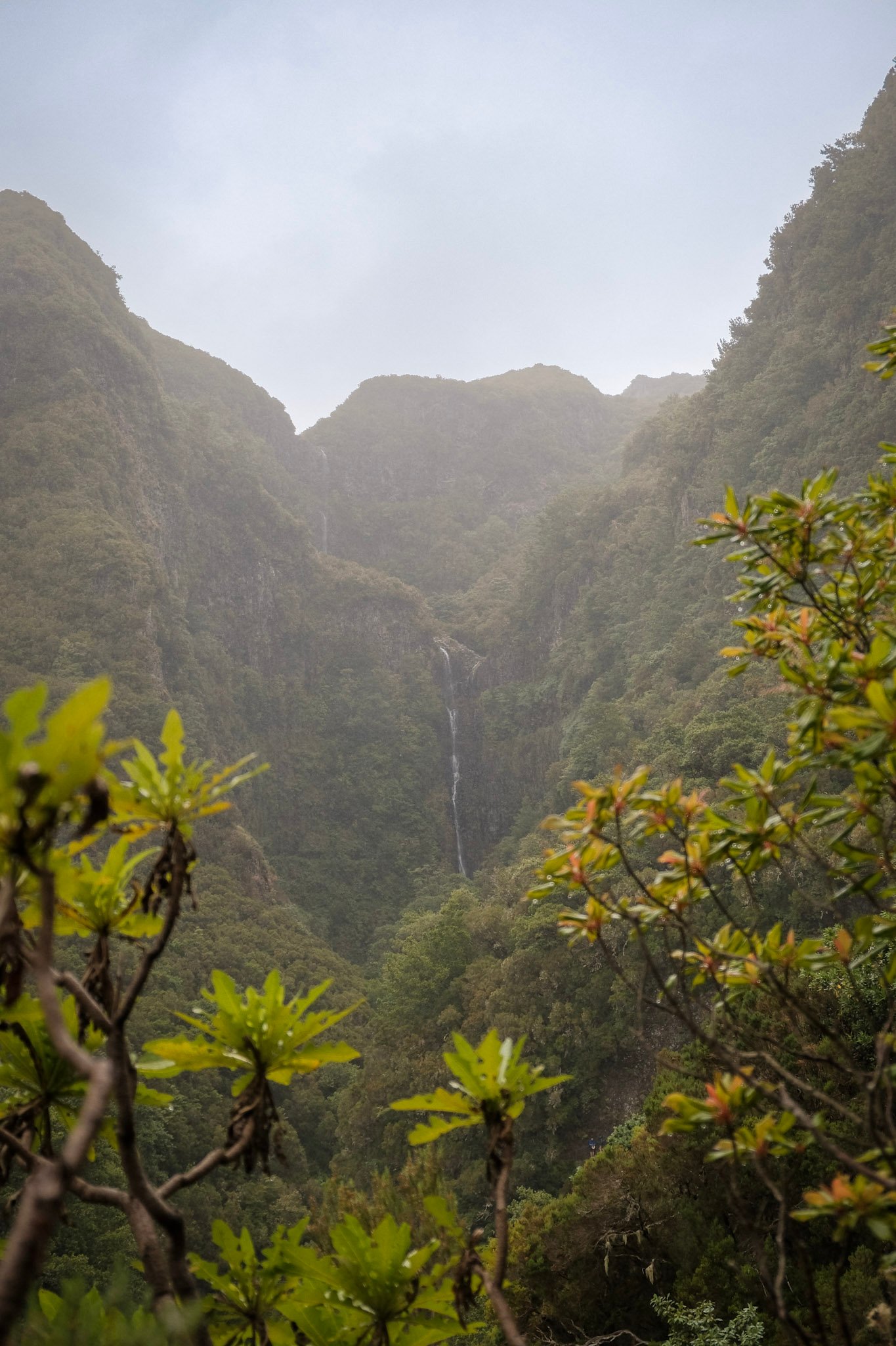 Madeira  · 34