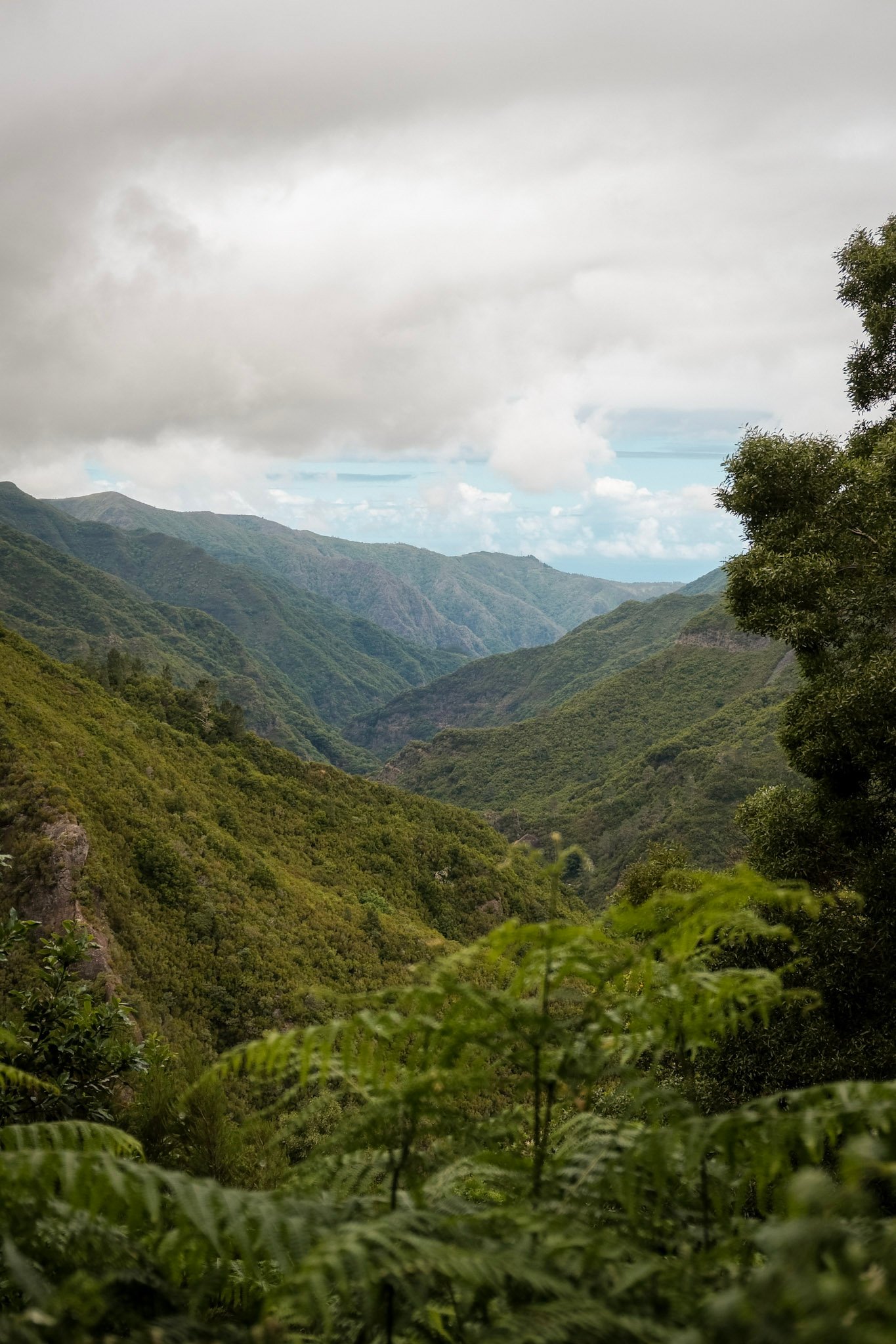 Madeira  · 33