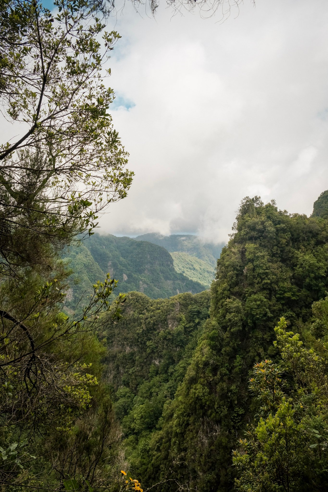 Madeira  · 81