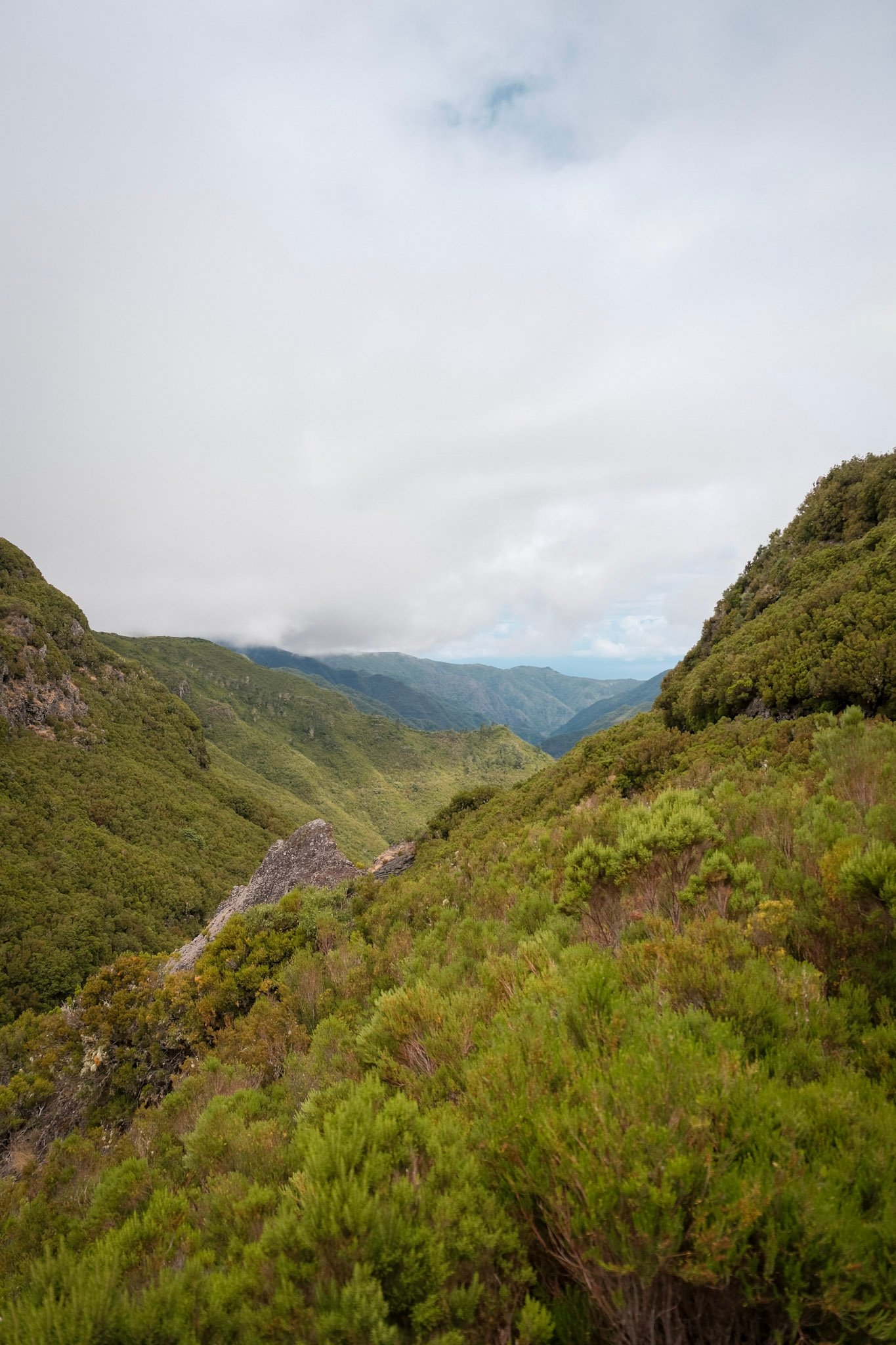 Madeira  · 32