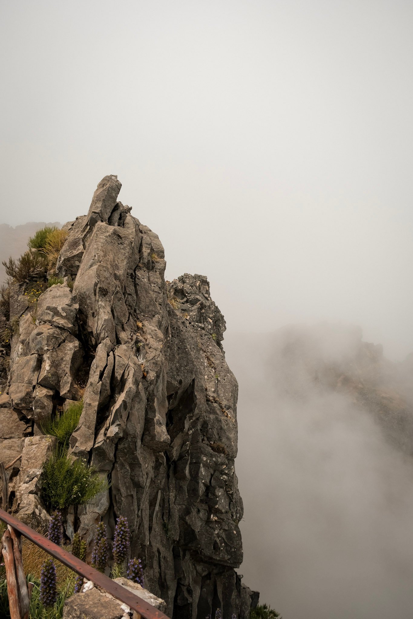 Madeira  · 47