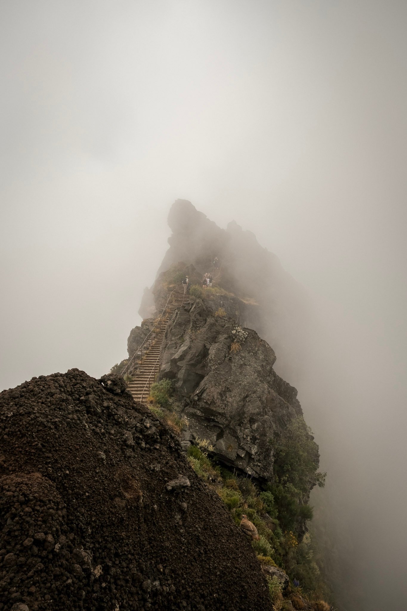 Madeira  · 48