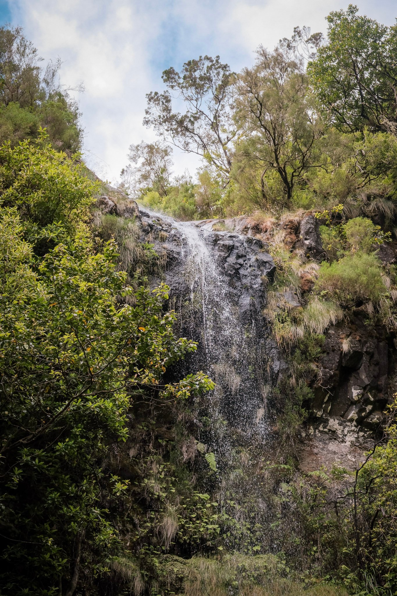 Madeira  · 79