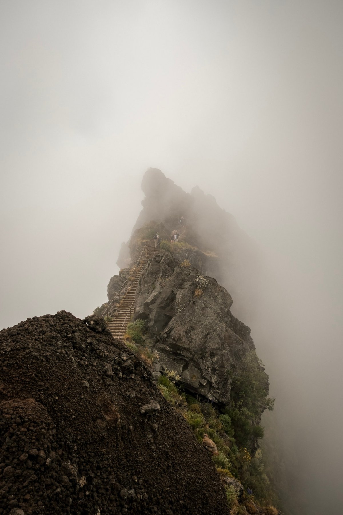 DSCF0183