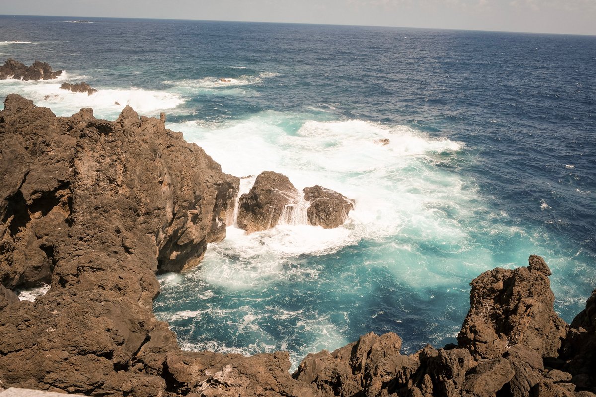 DSCF0081